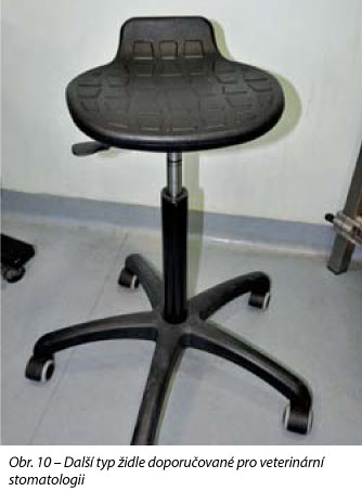 Další typ židle doporučované pro veterinární stomatologii
